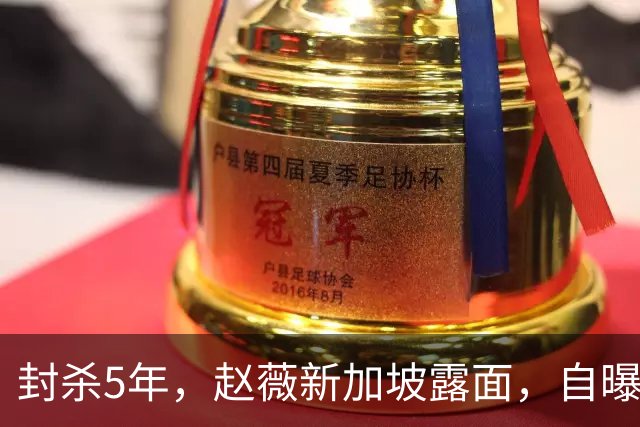 封杀5年，赵薇新加坡露面，自曝谋生手段，估计和你想的不一样